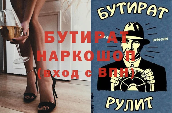 шишки Няндома
