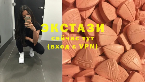 шишки Няндома