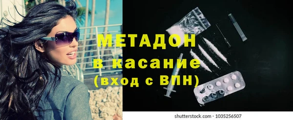 шишки Няндома