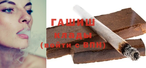 шишки Няндома