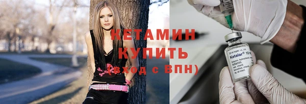 шишки Няндома