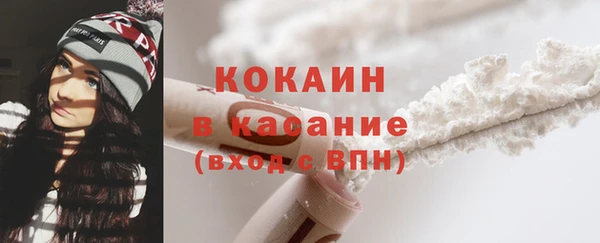 шишки Няндома