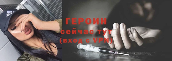 шишки Няндома