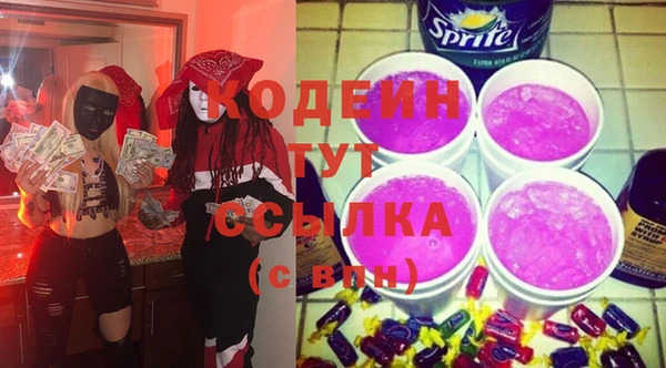 шишки Няндома