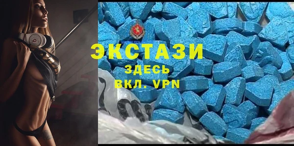 шишки Няндома