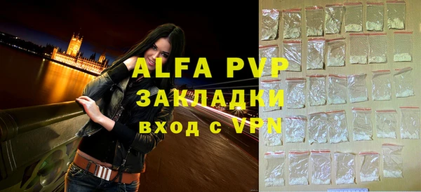 шишки Няндома
