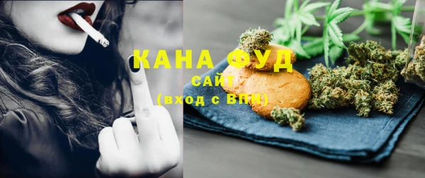 шишки Няндома