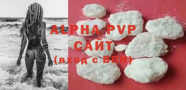 шишки Няндома