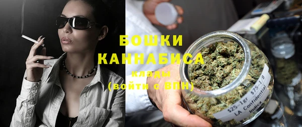 шишки Няндома