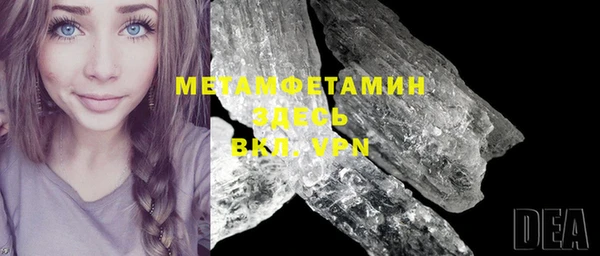шишки Няндома
