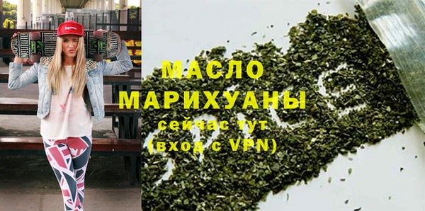 шишки Няндома