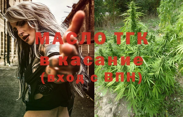 индика Дмитровск