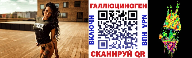 где купить   мега ТОР  Псилоцибиновые грибы ЛСД  Салаир 