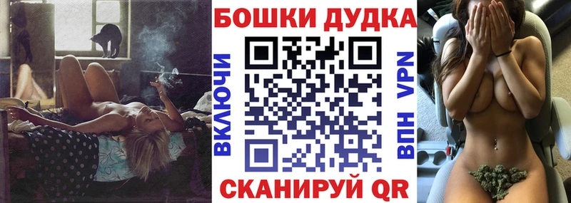 где купить наркотик  Салаир  Конопля сатива 